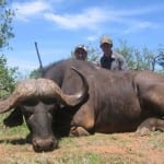 Cape-Buffalo-Hunting-Pic-150x150 Cape-Buffalo-Hunting-Pic-150x150